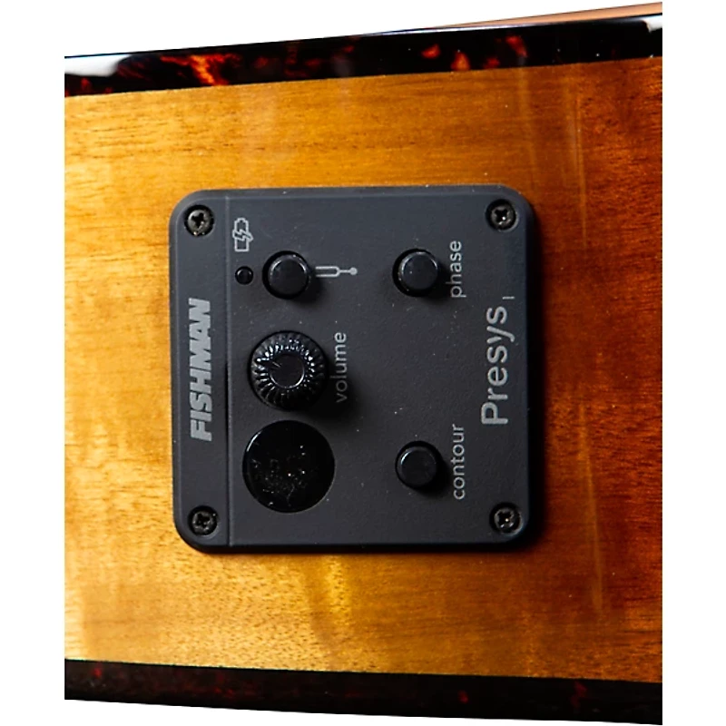 Breedlove Pursuit Exotic S CE Concerto Acoustic-Electric Bass Amber Burst