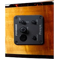 Breedlove Pursuit Exotic S CE Concerto Acoustic-Electric Bass Amber Burst