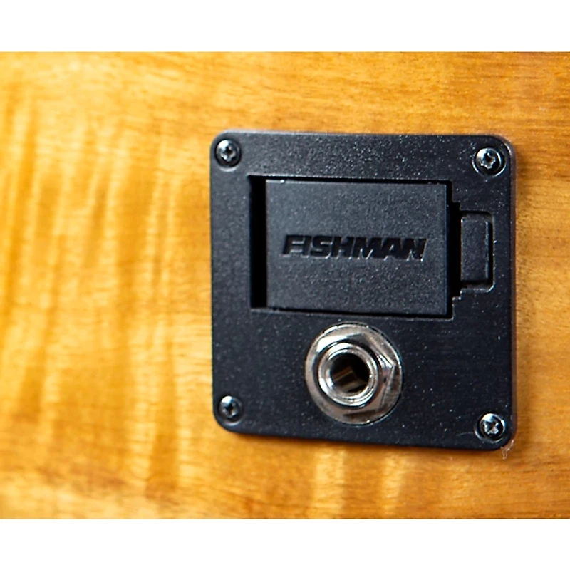 Breedlove Pursuit Exotic S CE Concerto Acoustic-Electric Bass Amber Burst