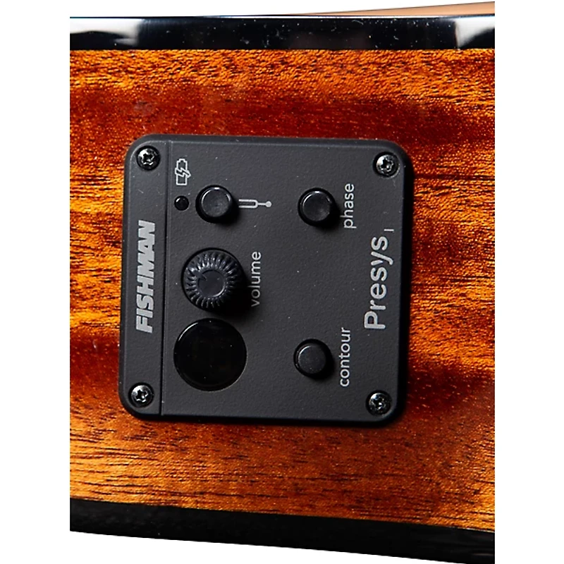 Breedlove Discovery S CE Cedar-African Mahog Concert Acoustic-Electric Classical Guitar Natural