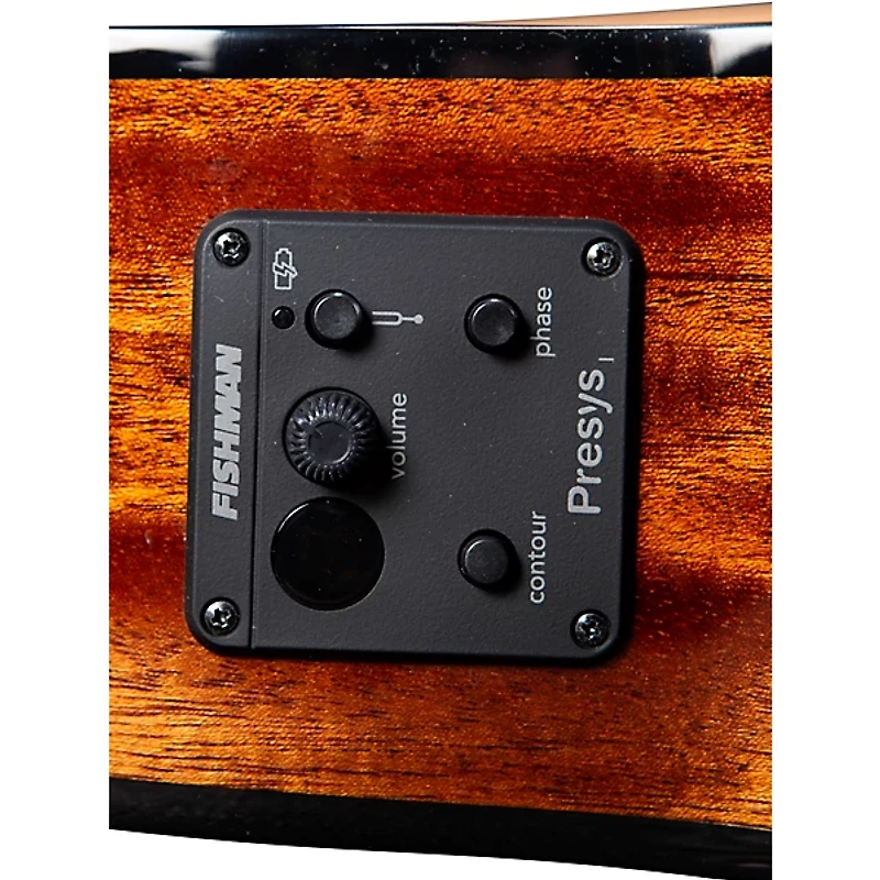 Breedlove Pursuit Exotic S CE Cedar-Myrtle Concert Acoustic-Electric Classical Guitar Natural