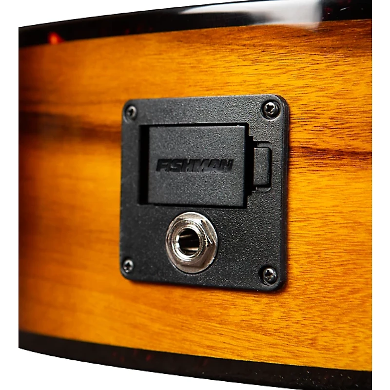 Breedlove Pursuit Exotic S CE Myrtlewood Concert Acoustic-Electric Guitar Tiger Eye