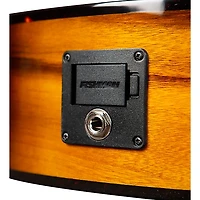 Breedlove Pursuit Exotic S CE Myrtlewood Concert Acoustic-Electric Guitar Tiger Eye