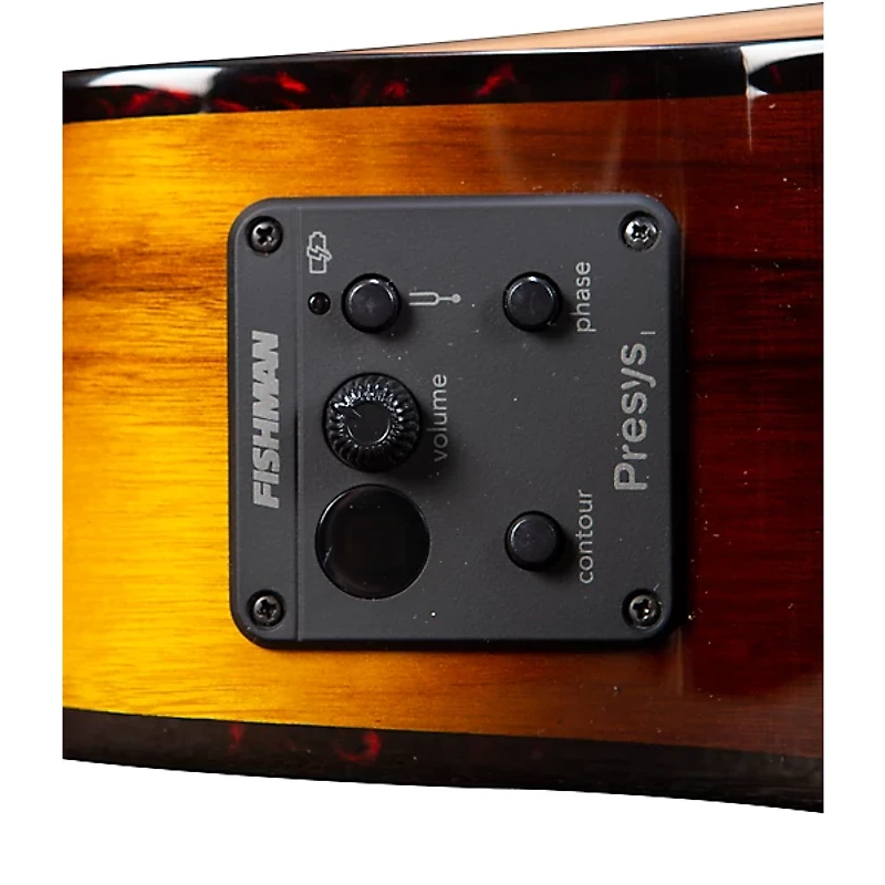 Breedlove Pursuit Exotic S CE Myrtlewood Concert Acoustic-Electric Guitar Tiger Eye