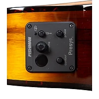 Breedlove Pursuit Exotic S CE Myrtlewood Concert Acoustic-Electric Guitar Tiger Eye