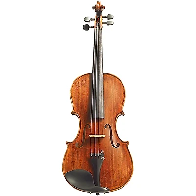 Stentor Arcadia Series Violin Outfit 4/4
