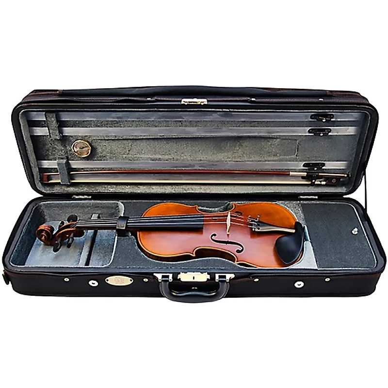 Stentor Arcadia Series Violin Outfit 4/4