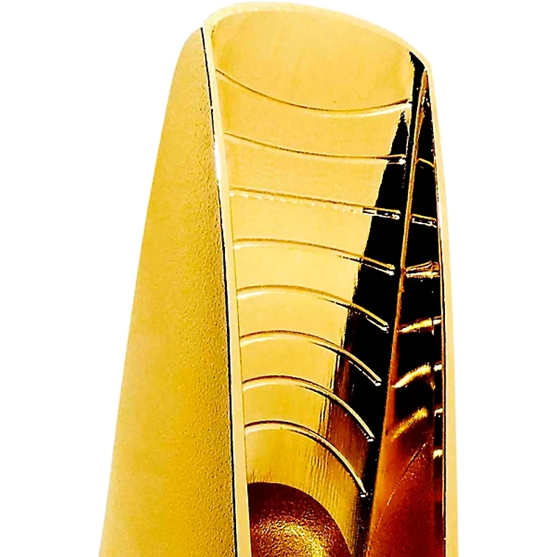 Theo Wanne GAIA 4 Alto Saxophone Mouthpiece