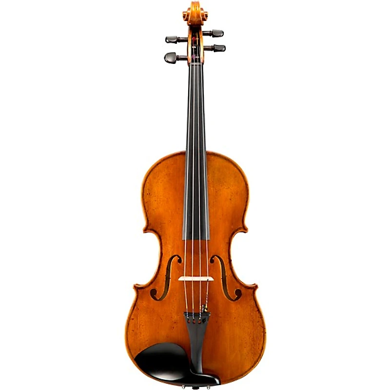Eastman VA601 Albert Nebel Series Advanced Viola Outfit