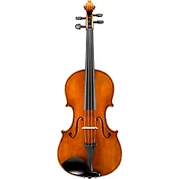 Eastman VA601 Albert Nebel Series Advanced Viola Outfit