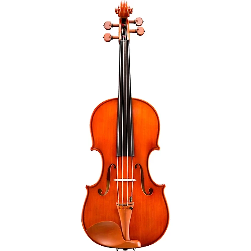 Eastman VA200 Series Step-Up Viola Outfit