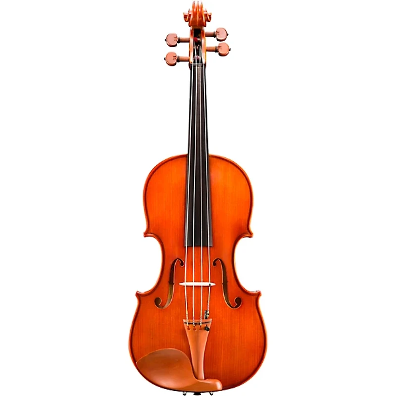 Eastman VA200 Series Step-Up Viola Outfit