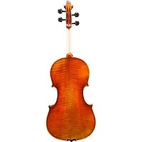 Eastman VA605 Master Series Advanced Viola Outfit