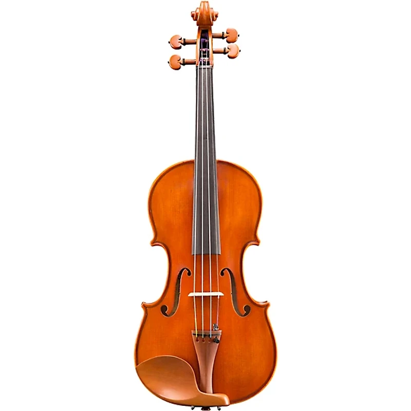 Eastman VL200 Andreas Eastman Series Step-Up Violin Outfit