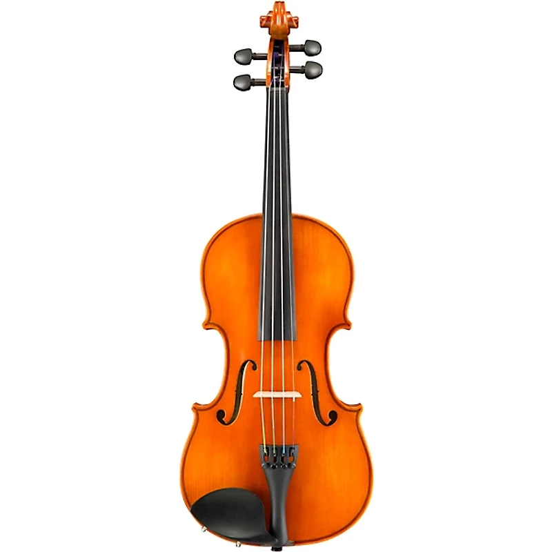 Eastman VL100 Samuel Eastman Series Student Violin Outfit