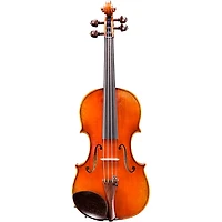 Eastman VL703 Frederich Wyss Series Professional Violin Outfit 4/4