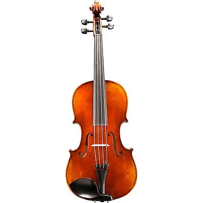 Eastman VA401 Ivan Dunov Series Step-Up Viola Outfit