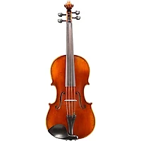 Eastman VA402 Ivan Dunov Superior Series Step-Up Viola Outfit