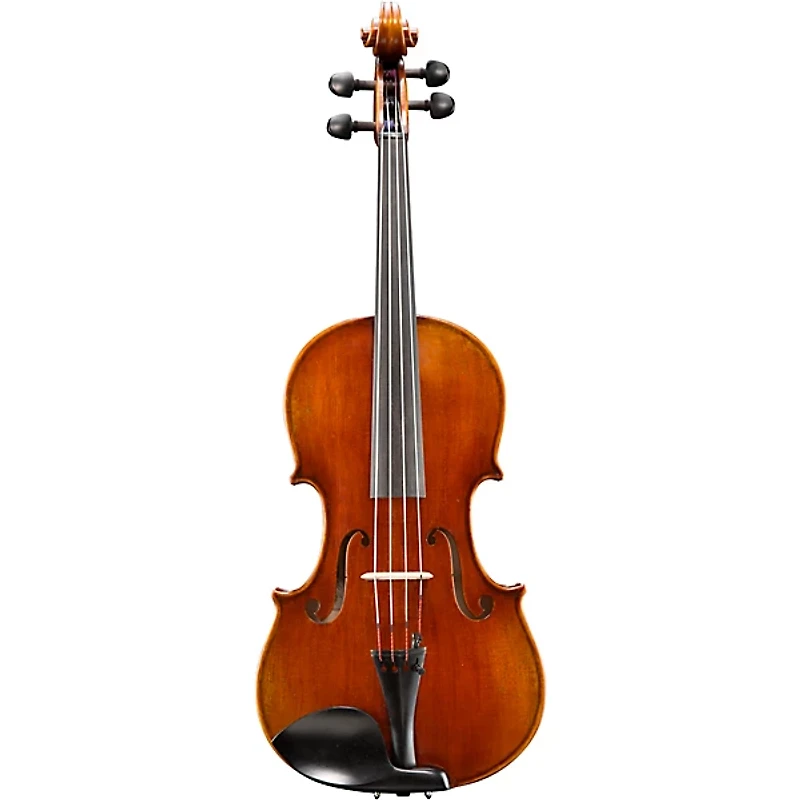 Eastman VA701 Sudoulf Doetsch Series Professional Viola Outfit