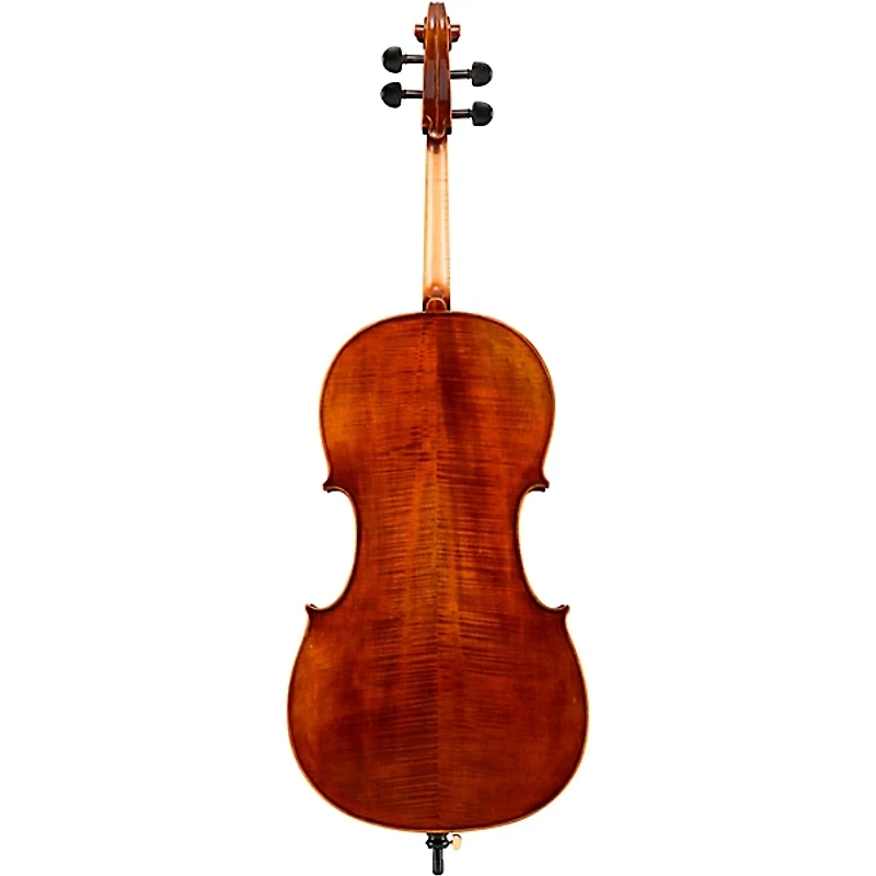 Eastman VC402 Ivan Dunov Series Step-Up Cello Outfit 4/4