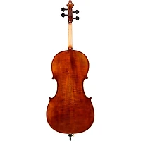 Eastman VC402 Ivan Dunov Series Step-Up Cello Outfit 4/4