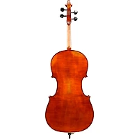 Eastman VC601 Albert Nebel Series Advanced Cello Outfit 4/4