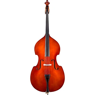 Eastman VB80 Samuel Eastman Series Student Double Bass Outfit