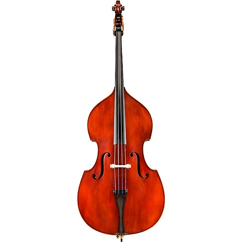 Eastman VB95GR Samuel Eastman Hybrid Series Student Double Bass Outfit