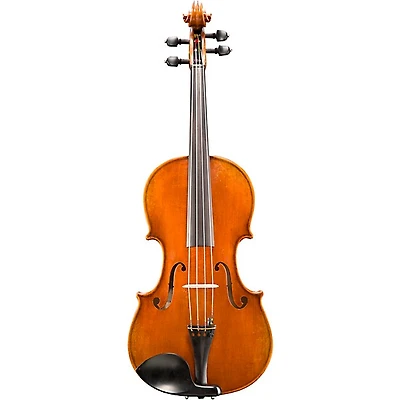 Eastman VA702 Series Professional Viola Outfit
