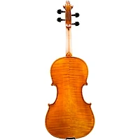 Eastman VA702 Series Professional Viola Outfit