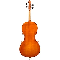 Eastman VC200 Andreas Eastman Series Step-Up Cello Outfit