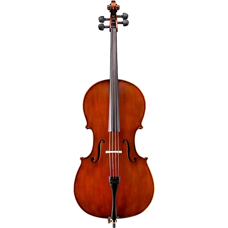 Eastman VC95 Samuel Eastman Hybrid Series Student Cello Outfit