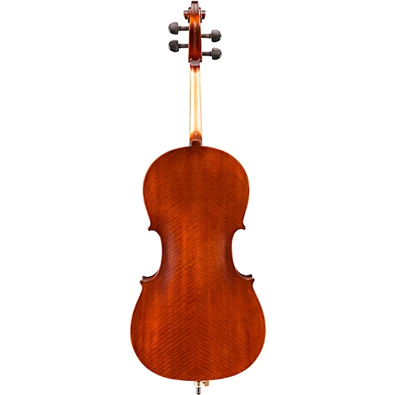 Eastman VC95 Samuel Eastman Hybrid Series Student Cello Outfit