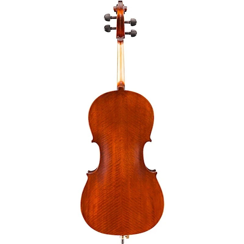 Eastman VC95 Samuel Eastman Hybrid Series Student Cello Outfit