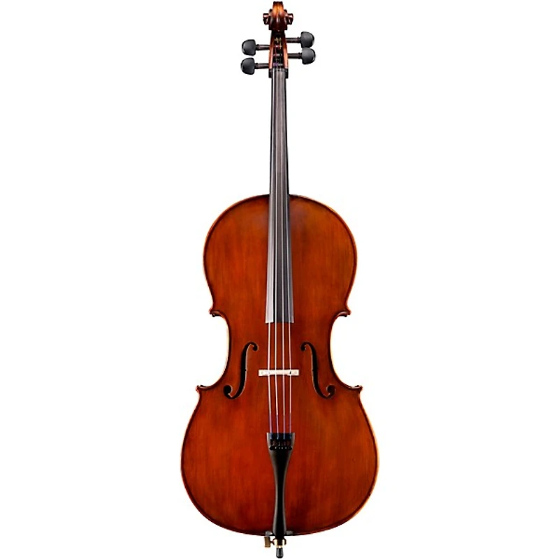 Eastman VC95 Samuel Eastman Hybrid Series Student Cello Outfit