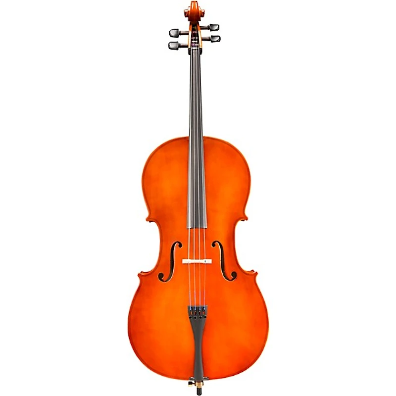 Eastman VC80 Samuel Eastman Series Student Cello Outfit
