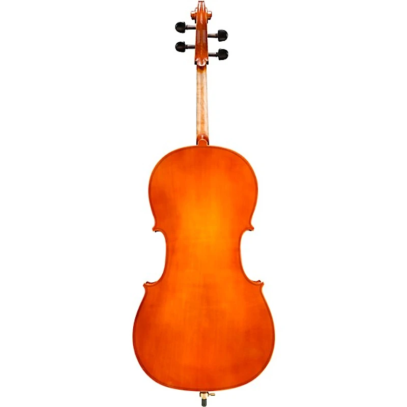 Eastman VC80 Samuel Eastman Series Student Cello Outfit