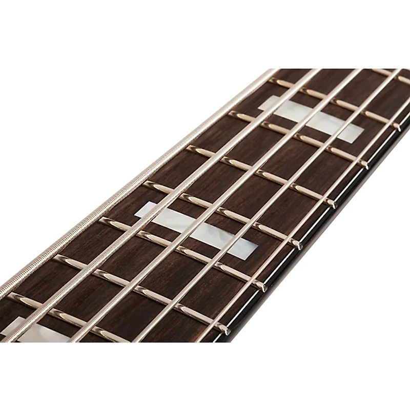 Schecter Guitar Research Daniel Firth Hellraiser Extreme-5 Electric Bass Cthulhu Burst Satin