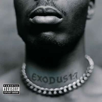 DMX - Exodus [LP]