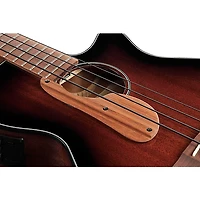 Ibanez AEGB24E Acoustic-Electric Bass Guitar