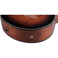 Ibanez AEGB24E Acoustic-Electric Bass Guitar