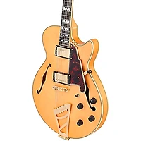 D'Angelico Deluxe Series SS Semi-Hollow Electric Guitar