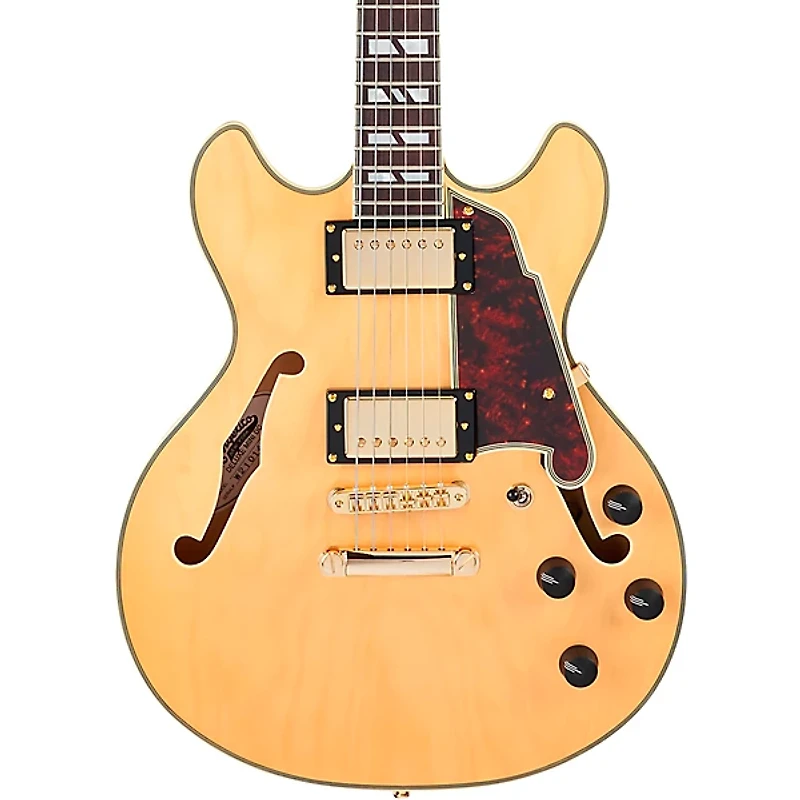 D'Angelico Deluxe Mini DC Semi-Hollow Electric Guitar