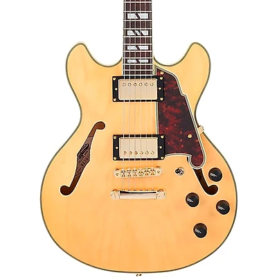 D'Angelico Deluxe Mini DC Semi-Hollow Electric Guitar