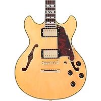 D'Angelico Deluxe Mini DC Semi-Hollow Electric Guitar
