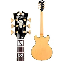 D'Angelico Deluxe Mini DC Semi-Hollow Electric Guitar