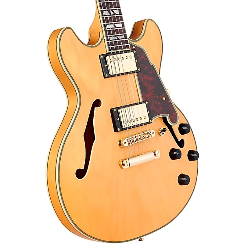 D'Angelico Deluxe Mini DC Semi-Hollow Electric Guitar