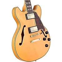 D'Angelico Deluxe Mini DC Semi-Hollow Electric Guitar