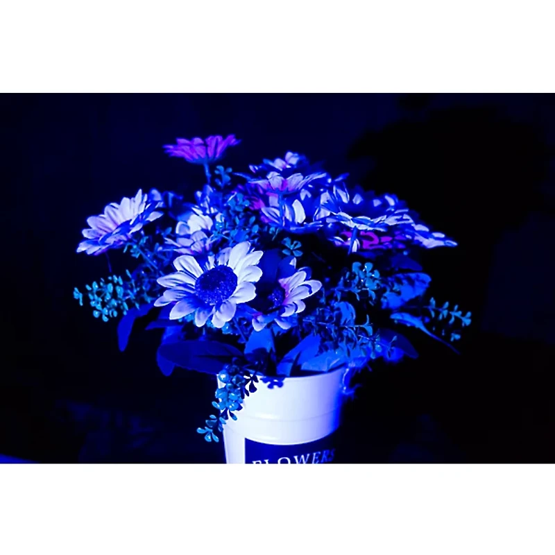 JMAZ Lighting Vision Fresnel 100 RGBW