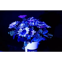 JMAZ Lighting Vision Fresnel 100 RGBW